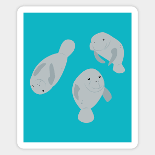 Manatees Magnet